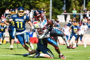 GFL2 Assindia Cardinals vs. Solingen Paladins 28.08.2022