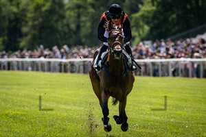 ABIK Michal: Irish Race Day - Rennbahn Hoppegarten