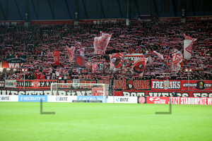 Support Rot-Weiss Essen - Borussia Dortmund U23 25.09.2024