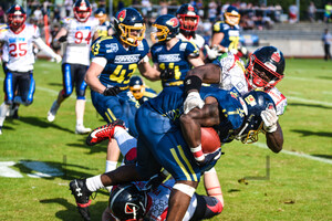 GFL2 Assindia Cardinals vs. Solingen Paladins 28.08.2022