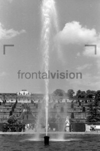 Gartenansicht Schloss Sanssouci Potsdam 1962