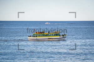 Cabbage Tree Point: Australia