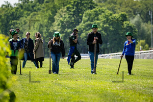 Horse Race Course Stampers: Irish Race Day - Rennbahn Hoppegarten