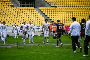 Cologne Centurions gegen Fehervar Enthroners Spielfotos 02.06.2024