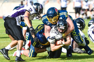 GFL2 Assindia Cardinals vs. Langenfeld Longhorns Fotos 14.08.2022