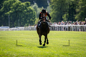 ABIK Michal: Irish Race Day - Rennbahn Hoppegarten
