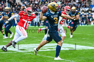 Brock Domann ERIMA GFL Bowl Potsdam Royals Dresden Monarchs Spielfotos 12.10.2024