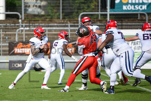 Cologne Centurions vs. Hamburg Sea Devils Spielfotos