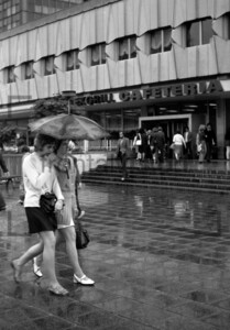 Frauen unter Regenschirm | Women under umbrella