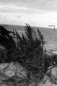 Dünen Dunes Hiddensee