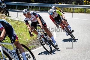 POLITT Nils: National Championships-Road Cycling 2024 - RR Elite Men