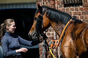 Horse Handler: Irish Race Day - Rennbahn Hoppegarten