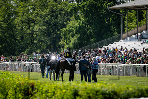 HAMMER HANSEN Thore: Irish Race Day - Rennbahn Hoppegarten