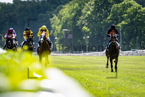 ABIK Michal, BOJKO Jozef: Irish Race Day - Rennbahn Hoppegarten