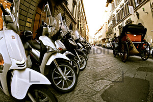 Horse-drawn Carriage scooter Florence
