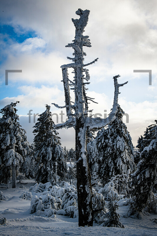 Erzgebirge, Ore Mountains snow Czech Republic