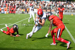 Cologne Centurions vs. Hamburg Sea Devils Spielfotos