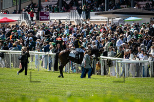 HAMMER HANSEN Thore: Irish Race Day - Rennbahn Hoppegarten